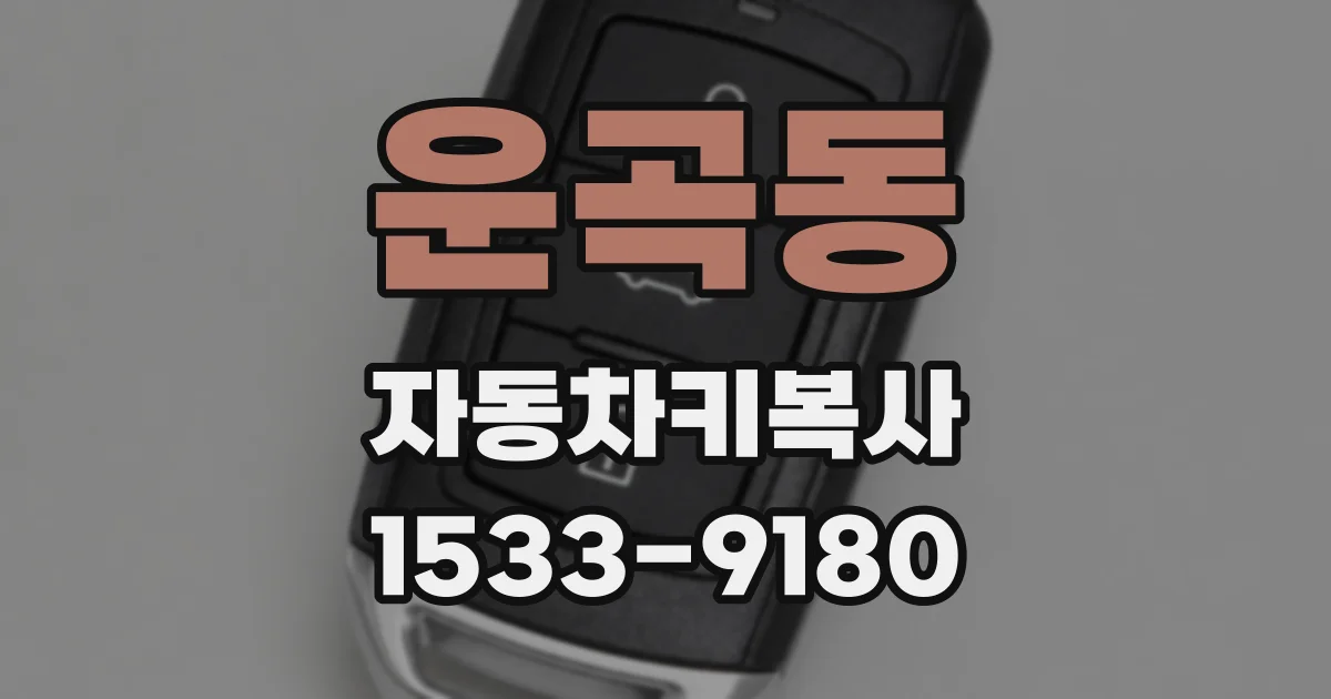 운곡동 자동차키복사