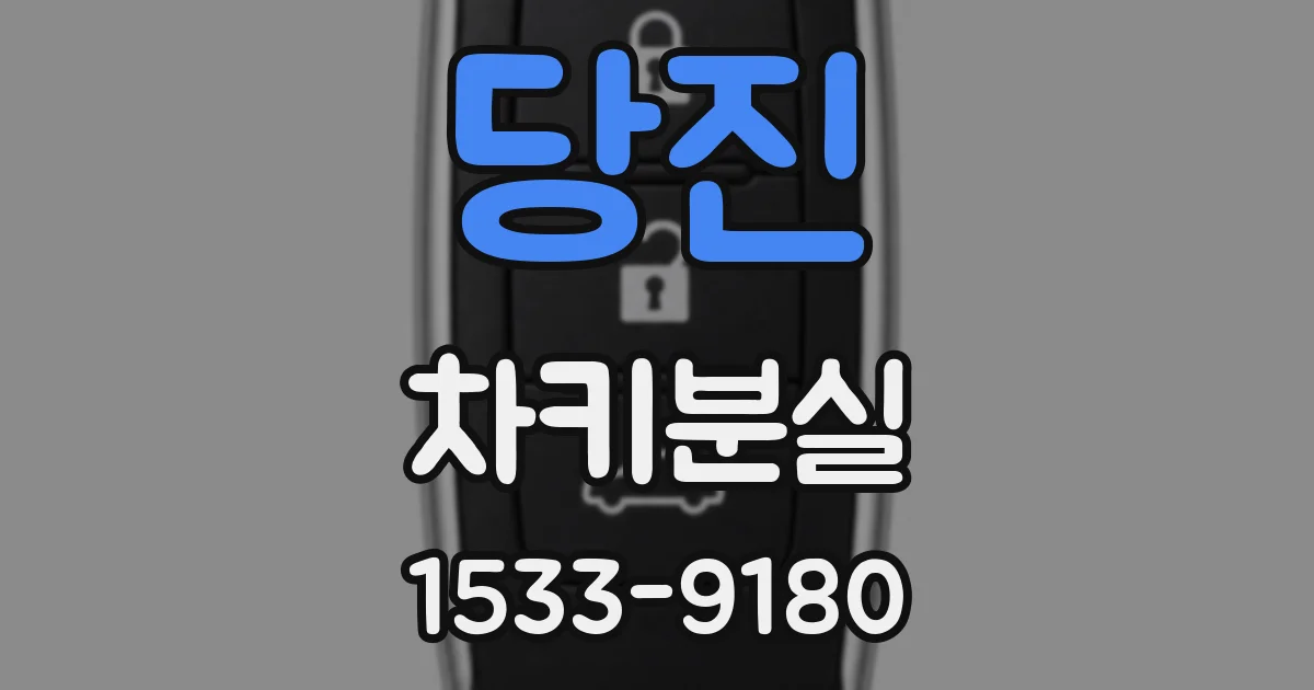 당진 차키분실