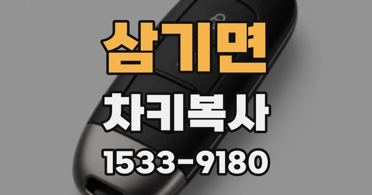 삼기면 차키복사