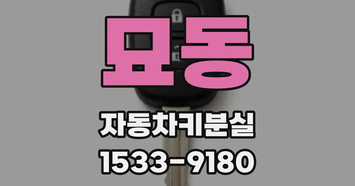 묘동 자동차키분실