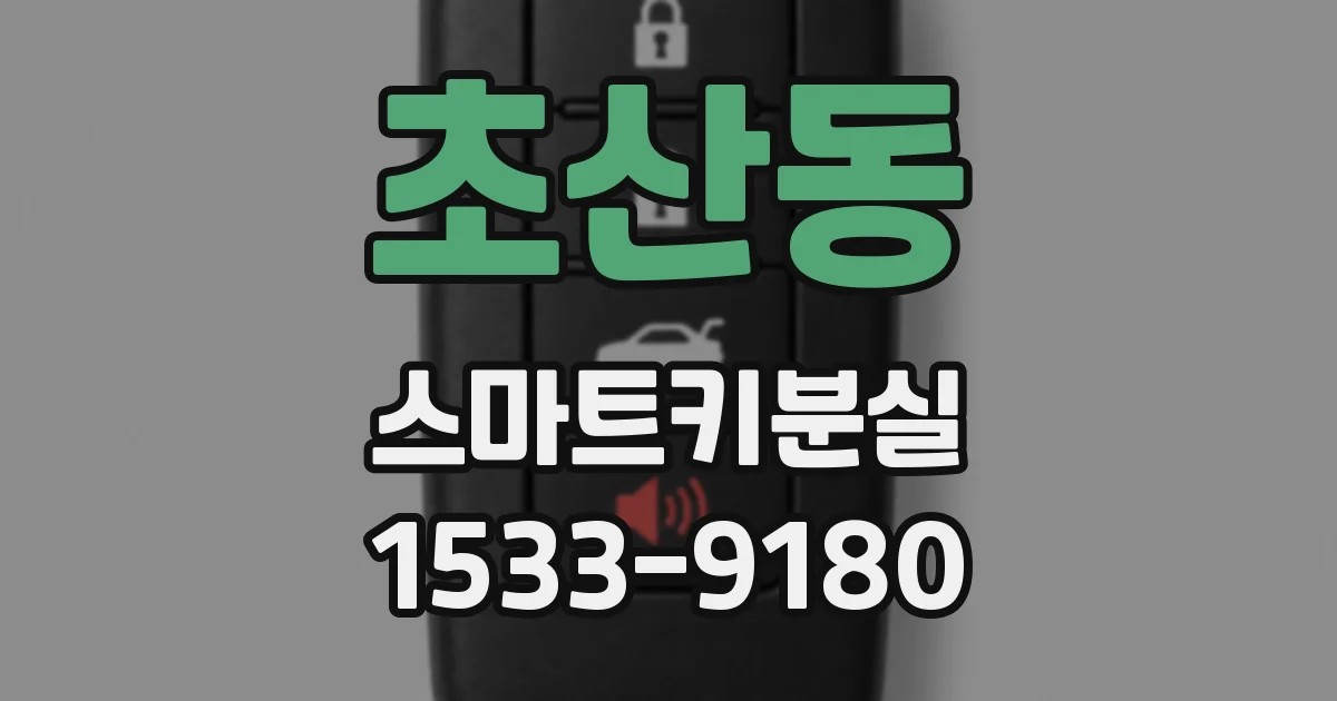 초산동 스마트키분실