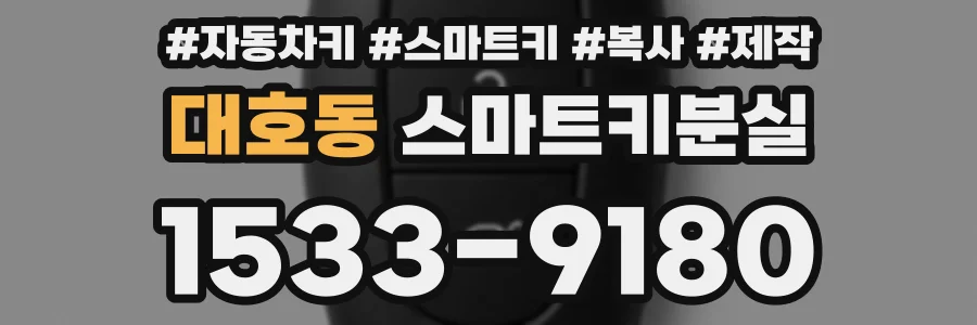 대호동 스마트키분실