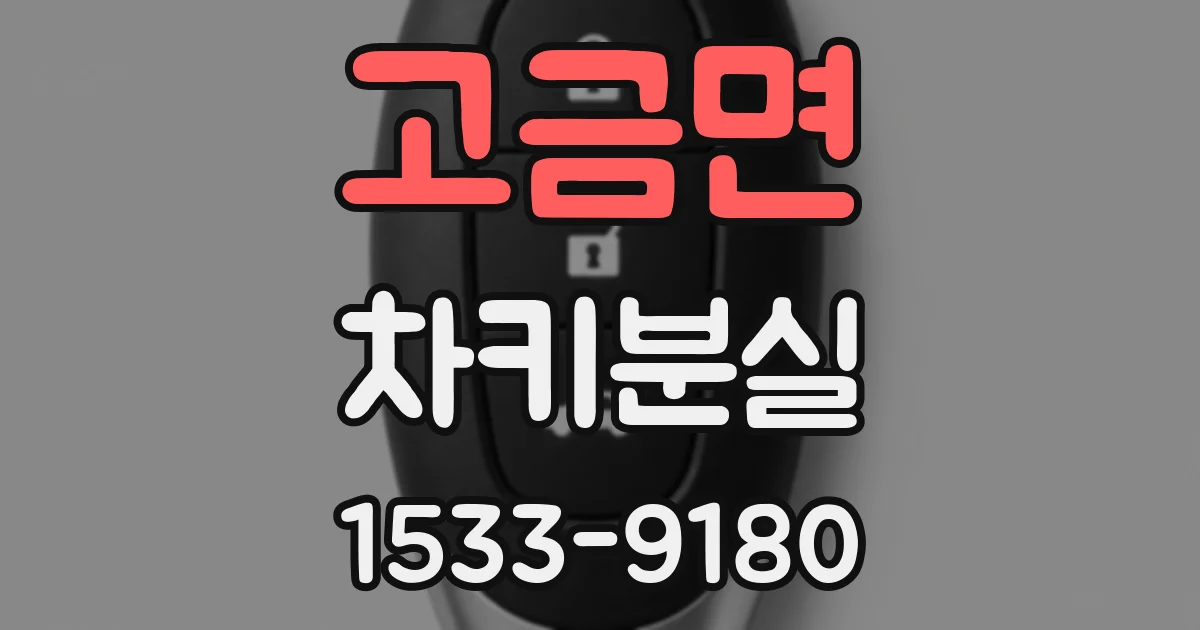 고금면 차키분실