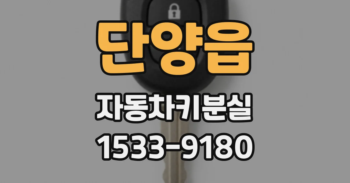 단양읍 자동차키분실