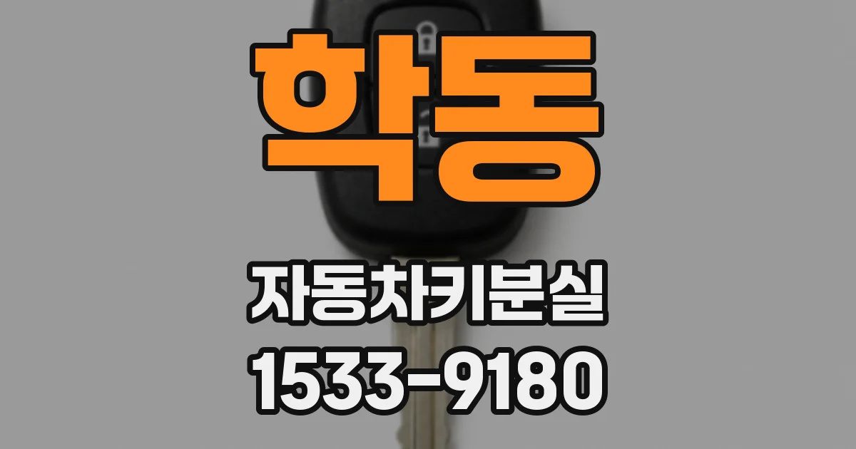 학동 자동차키분실