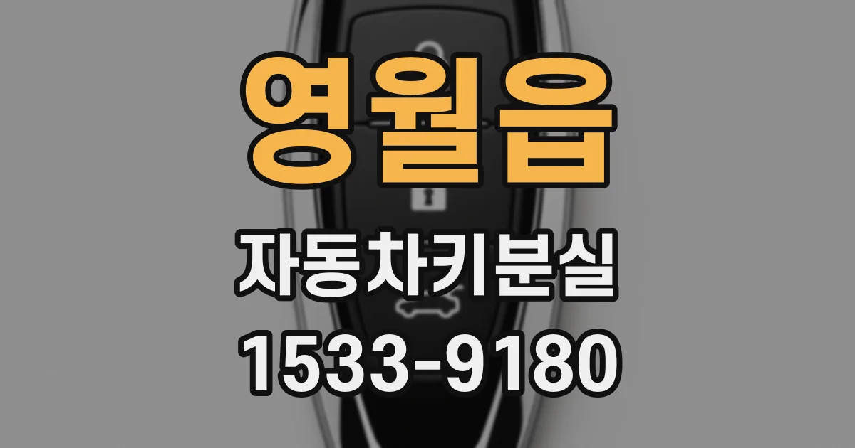 영월읍 자동차키분실