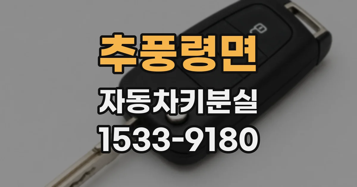 추풍령면 자동차키분실