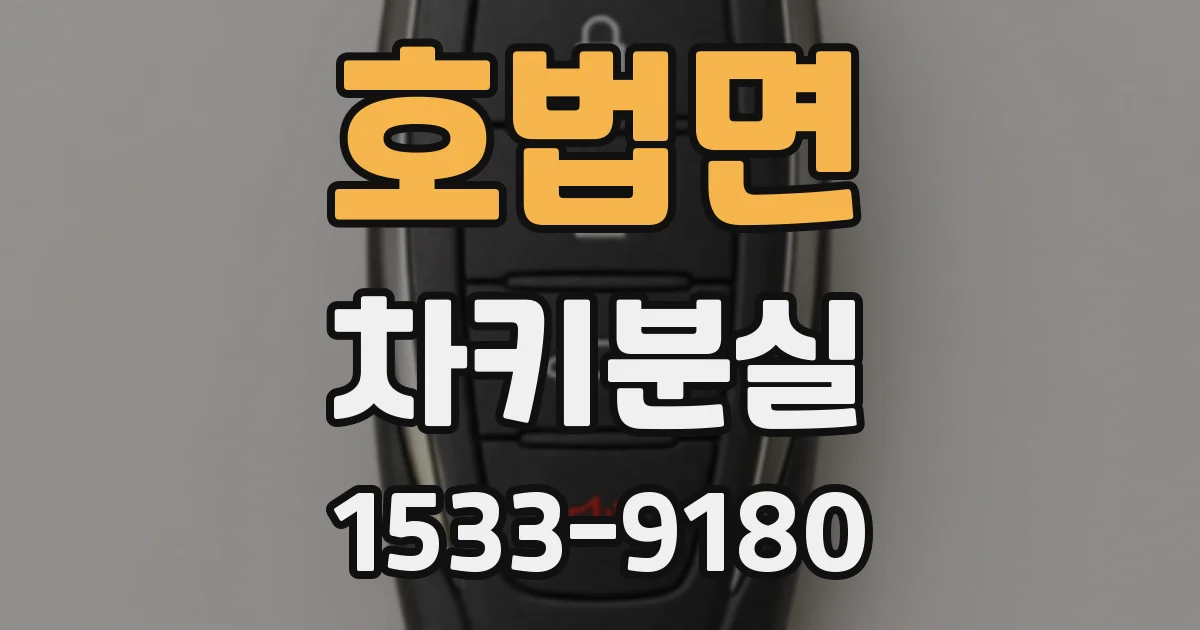 호법면 차키분실