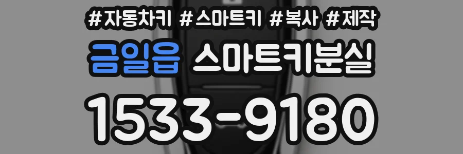 금일읍 스마트키분실
