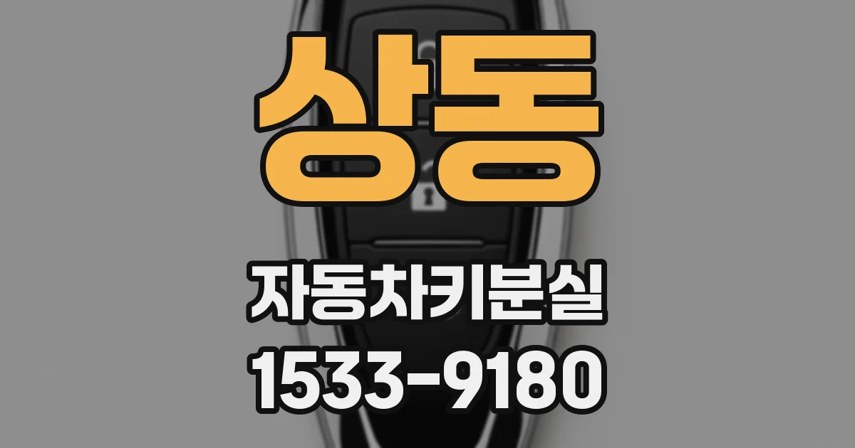상동 자동차키분실