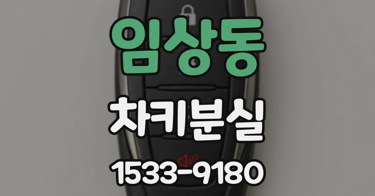 임상동 차키분실