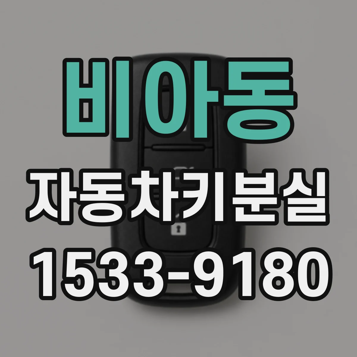 비아동 자동차키분실