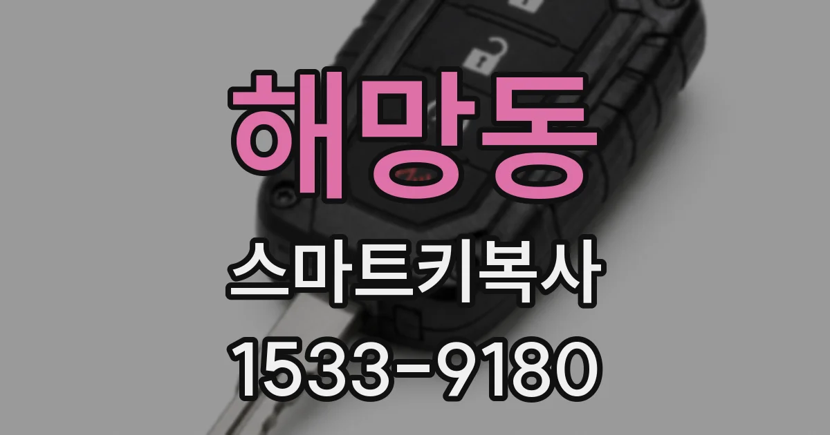 해망동 스마트키복사