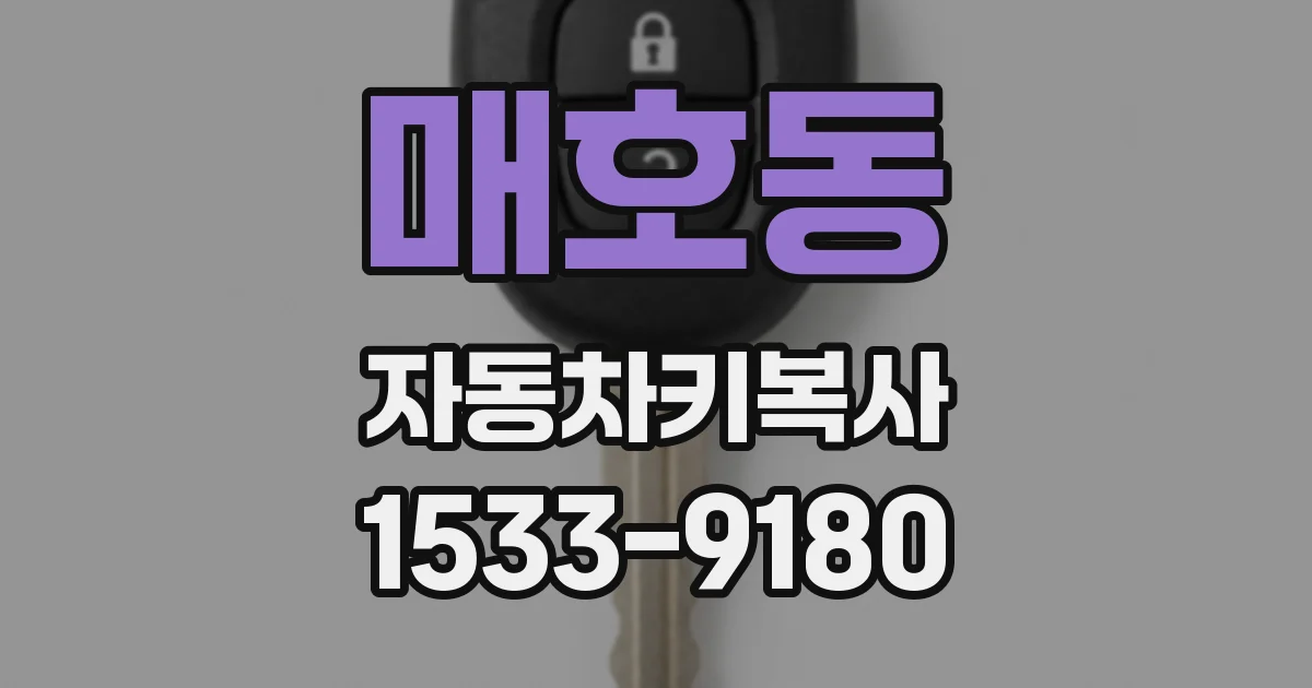 매호동 자동차키복사