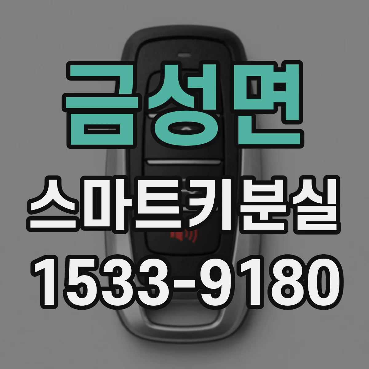 금성면 스마트키분실