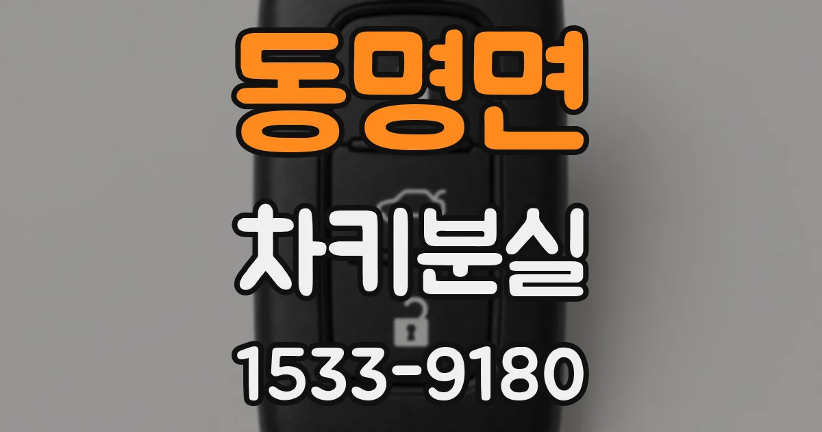 동명면 차키분실