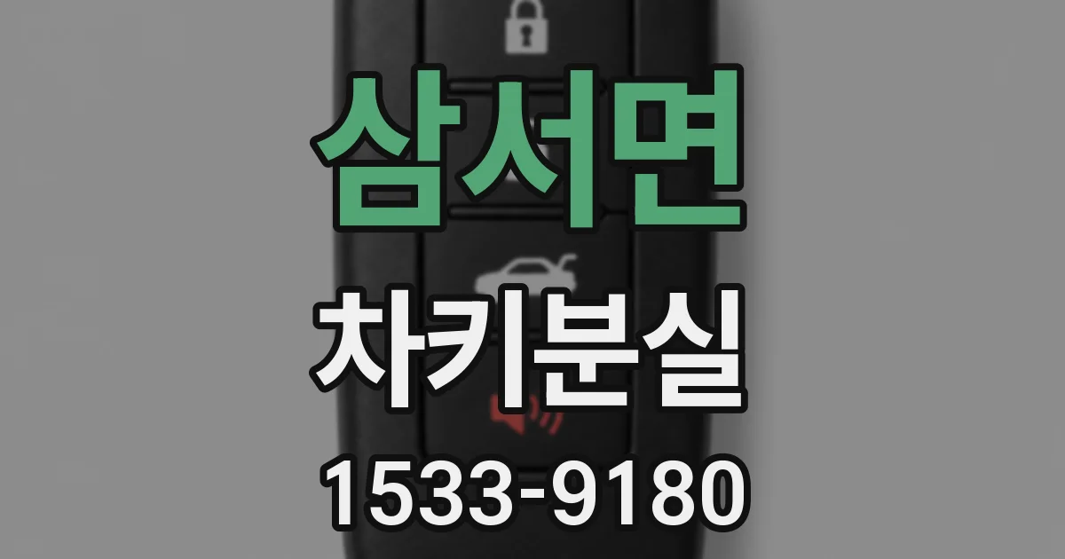 삼서면 차키분실