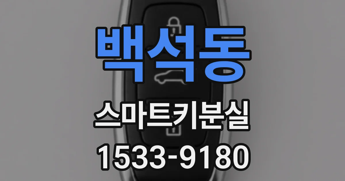 백석동 스마트키분실