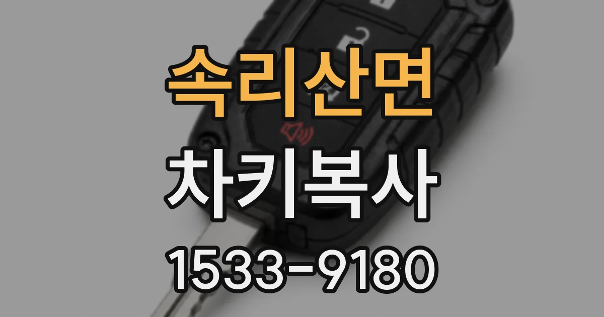 속리산면 차키복사