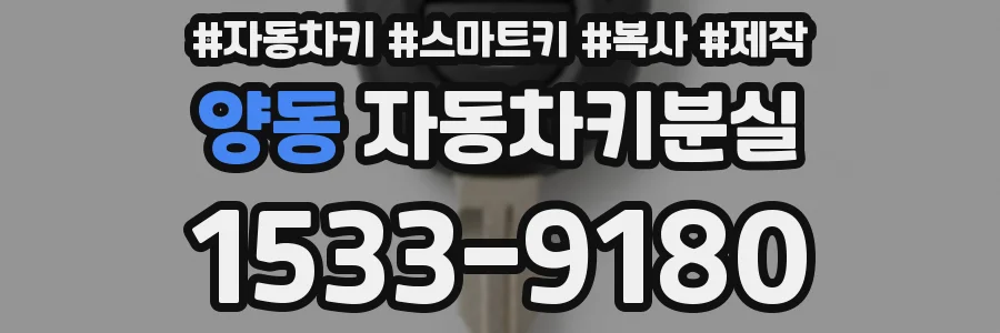 양동 자동차키분실