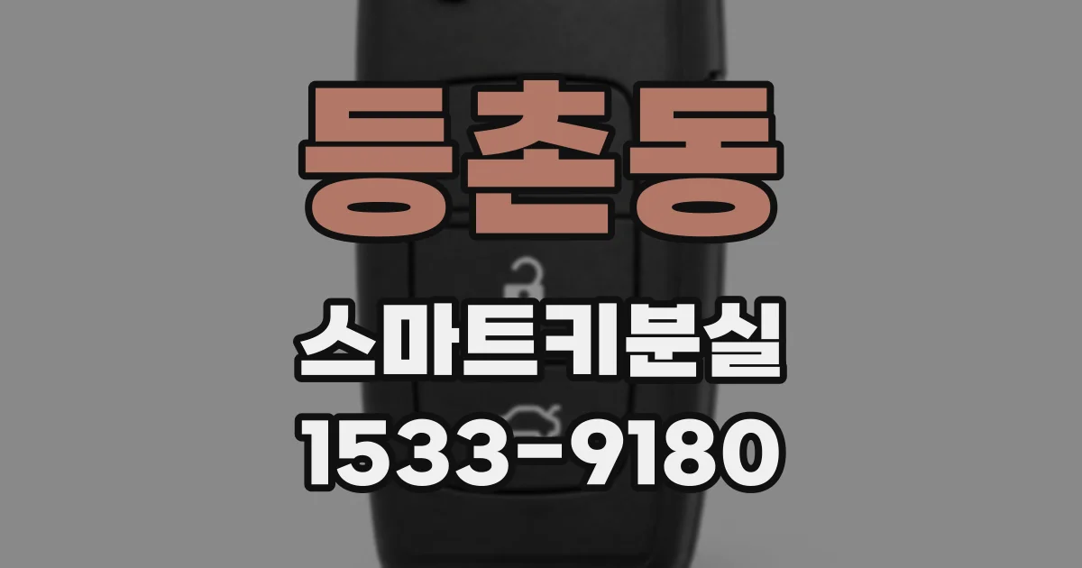 등촌동 스마트키분실