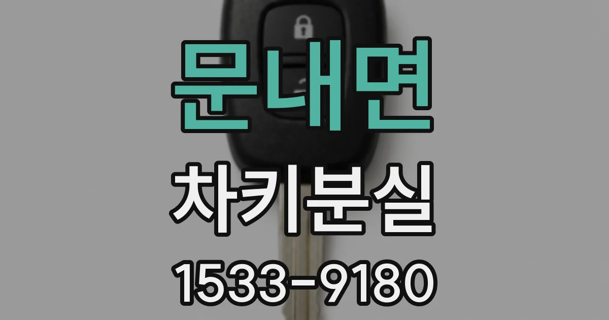 문내면 차키분실