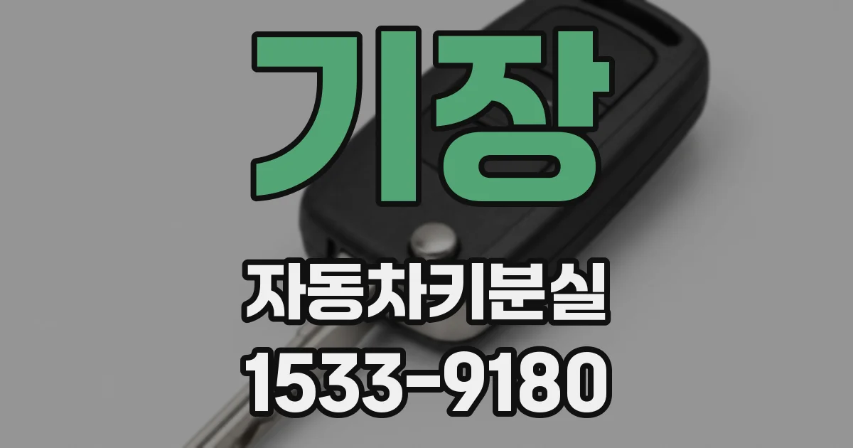 기장 자동차키분실