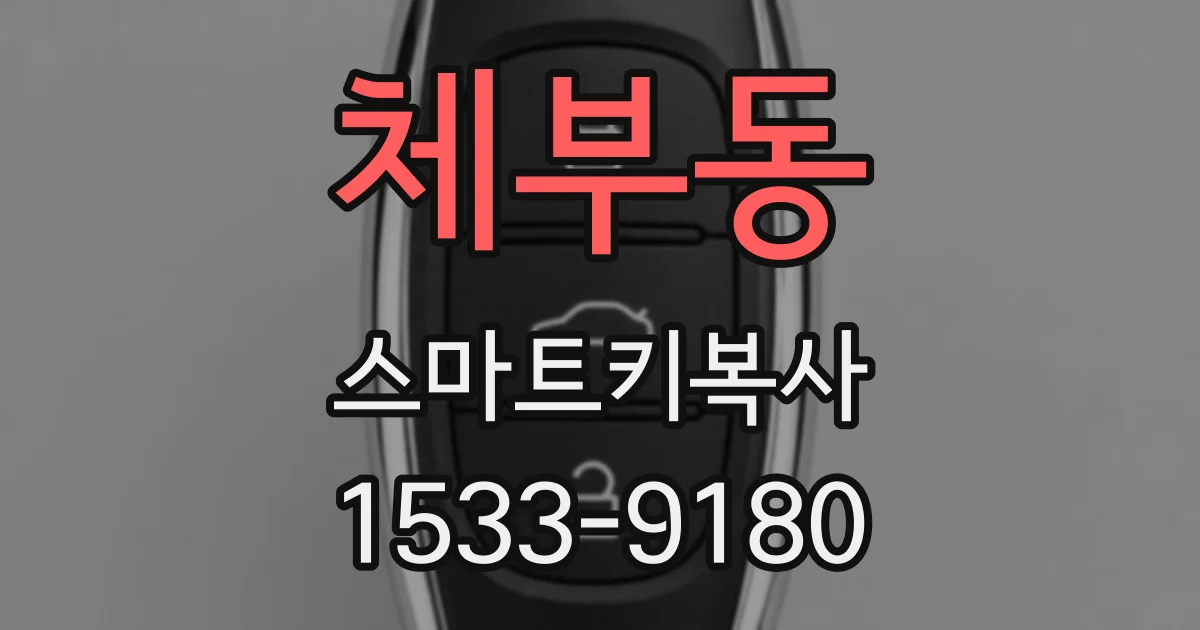 체부동 스마트키복사