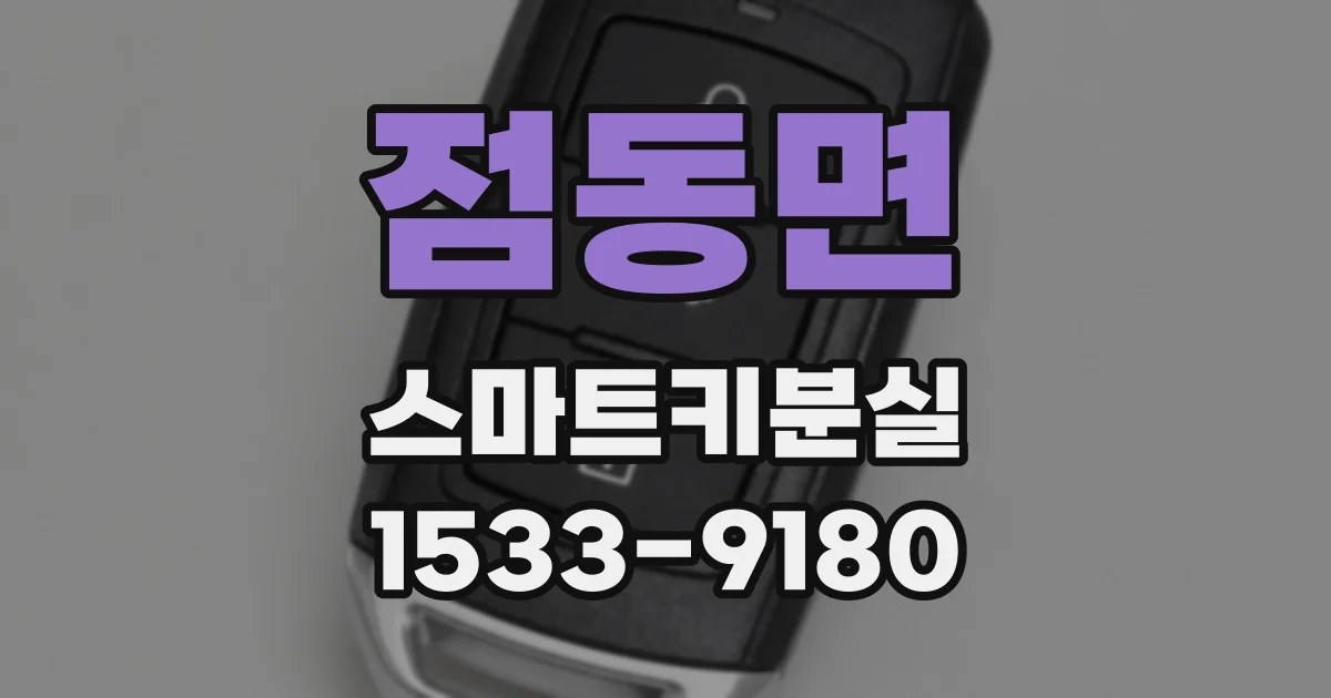 점동면 스마트키분실