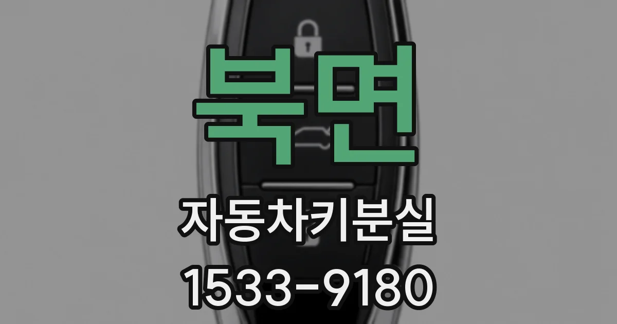 북면 자동차키분실
