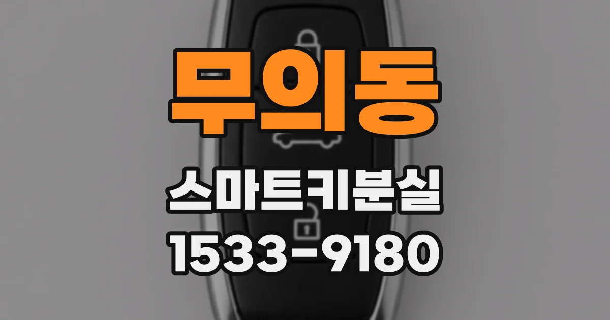무의동 스마트키분실