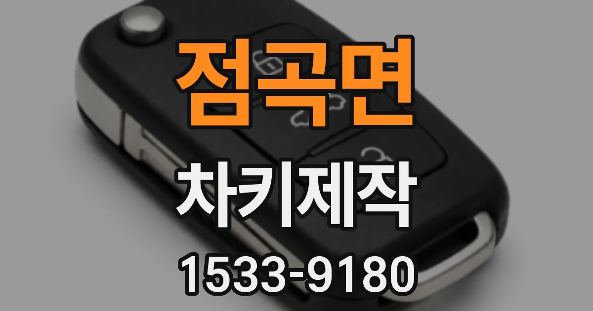 점곡면 차키제작
