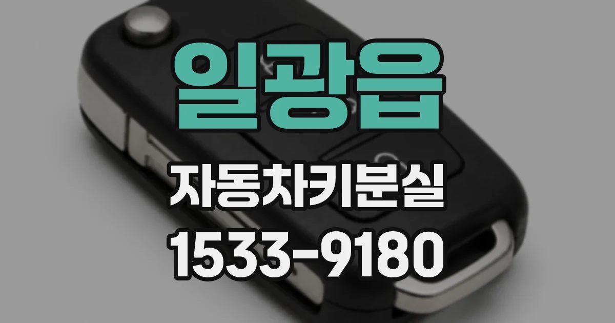 일광읍 자동차키분실