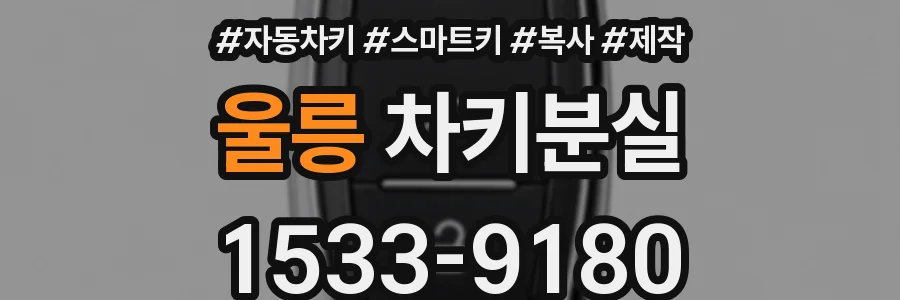 울릉 차키분실