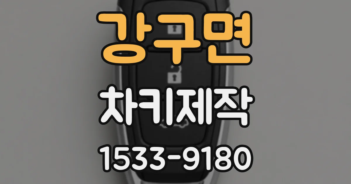 강구면 차키제작