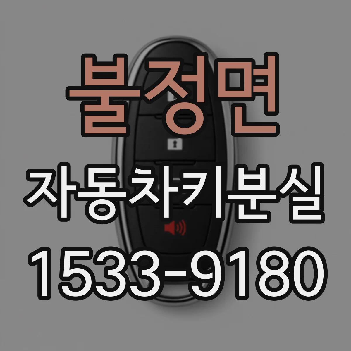 불정면 자동차키분실