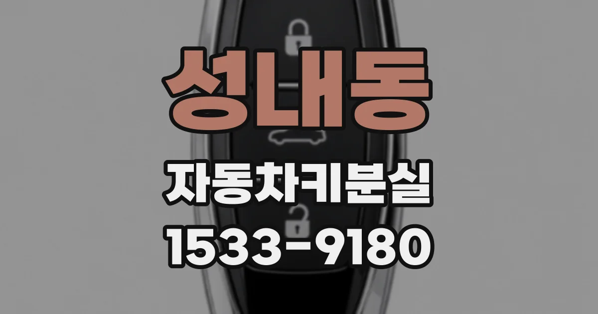 성내동 자동차키분실