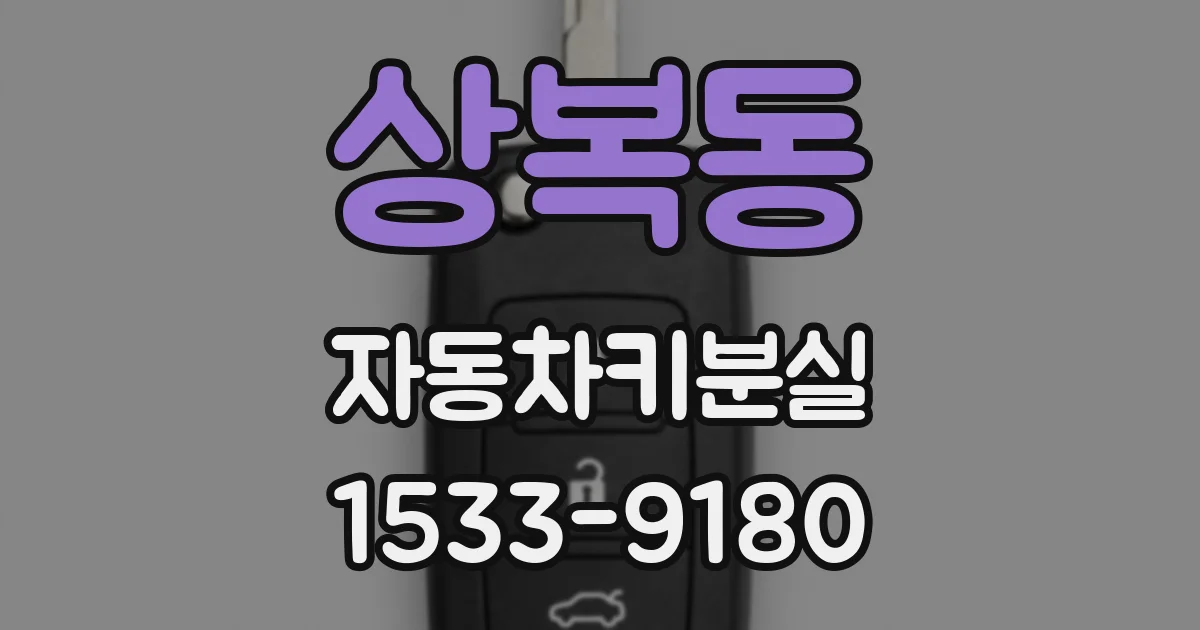 상복동 자동차키분실