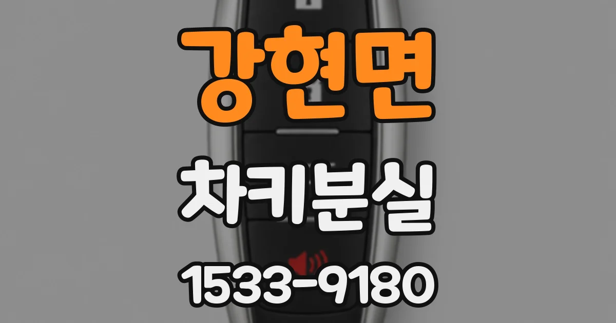 강현면 차키분실