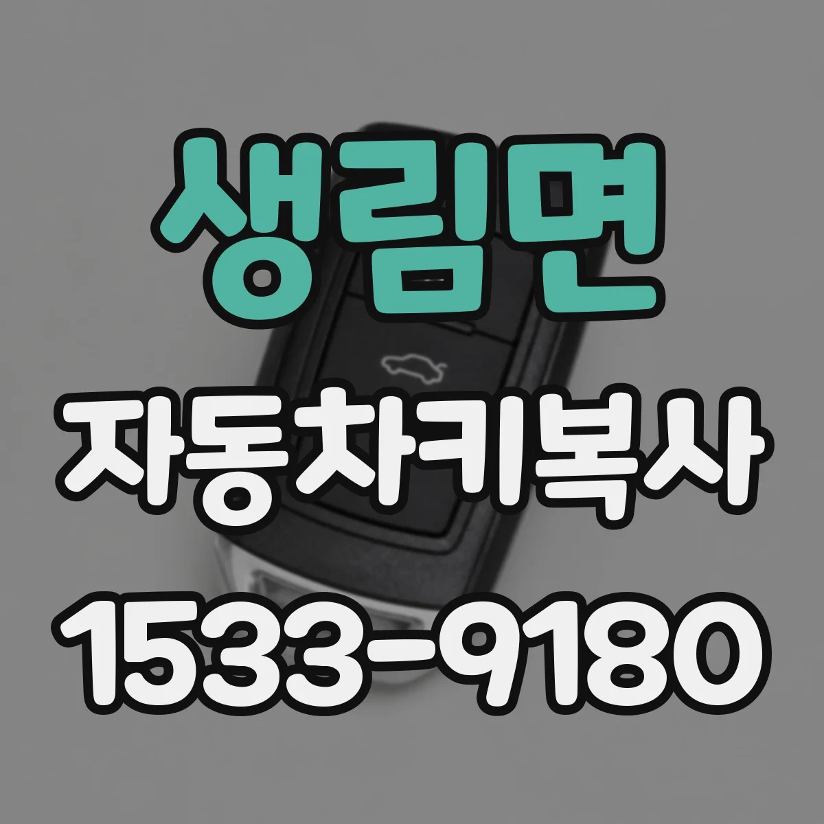 생림면 자동차키복사