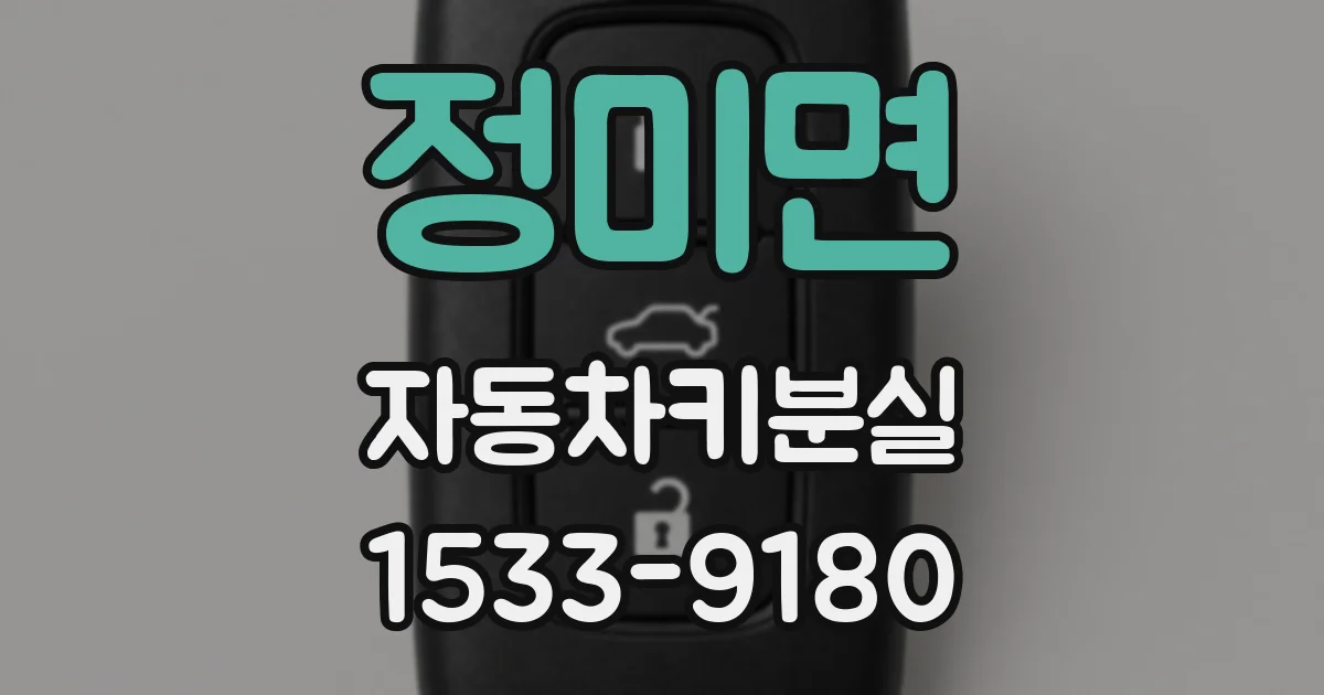 정미면 자동차키분실