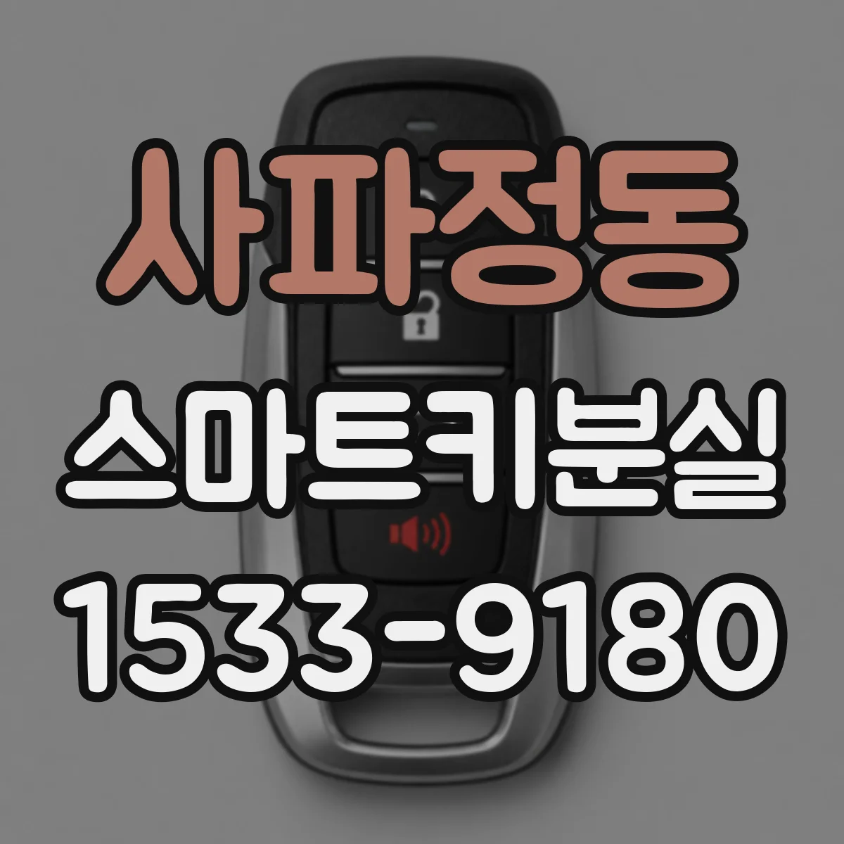 사파정동 스마트키분실