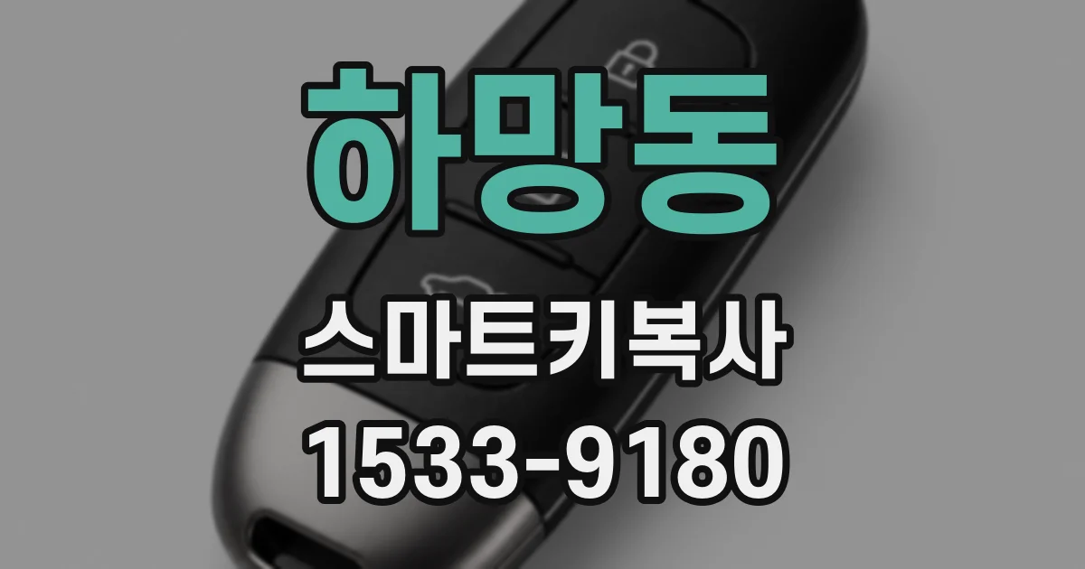 하망동 스마트키복사