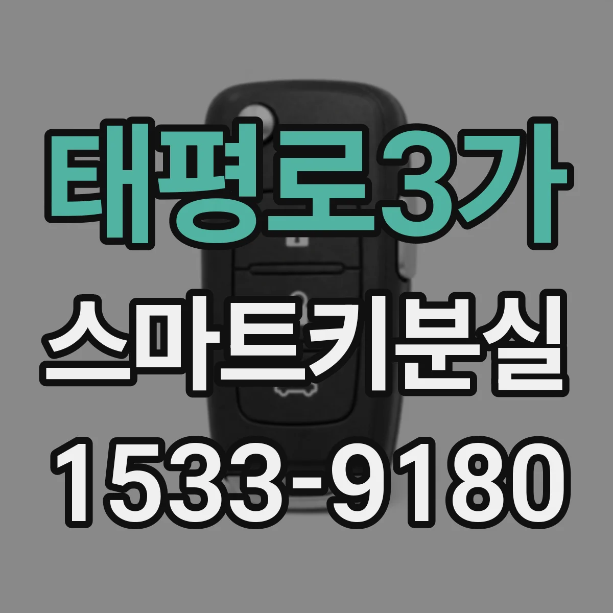 태평로3가 스마트키분실