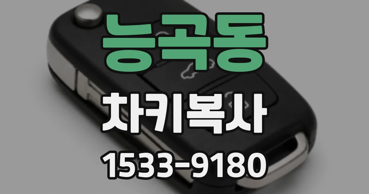 능곡동 차키복사