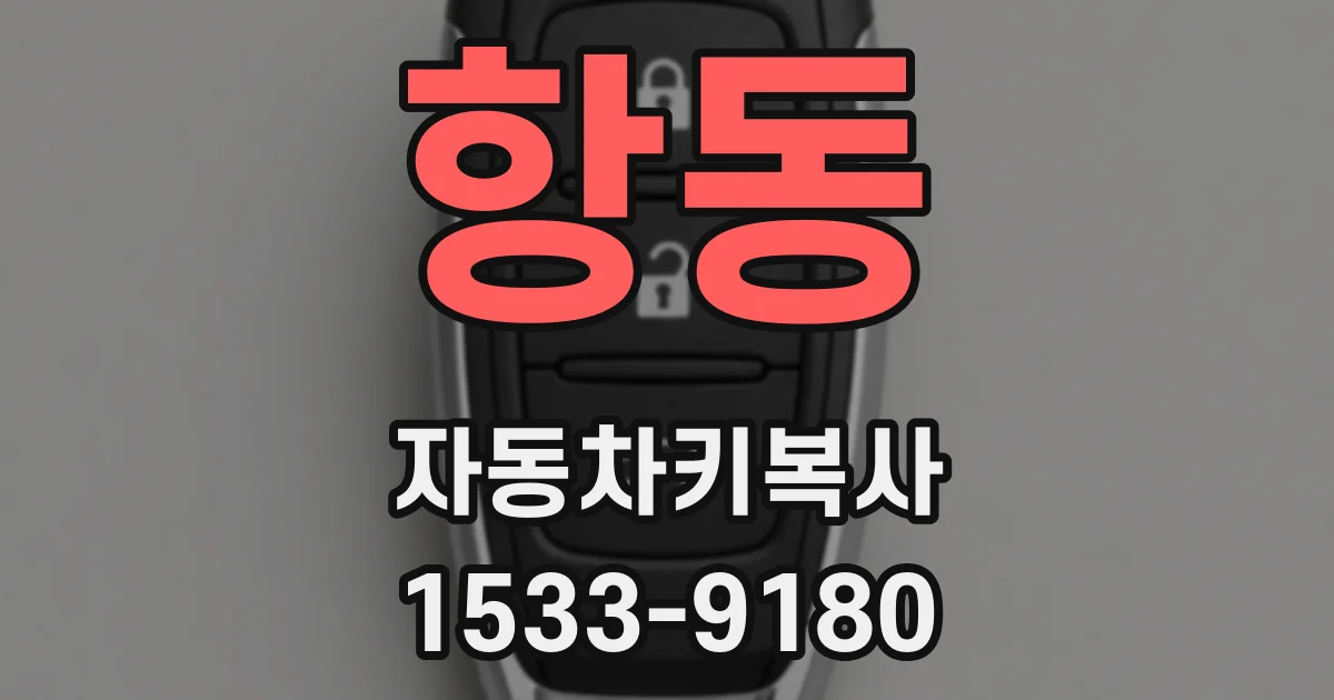 항동 자동차키복사