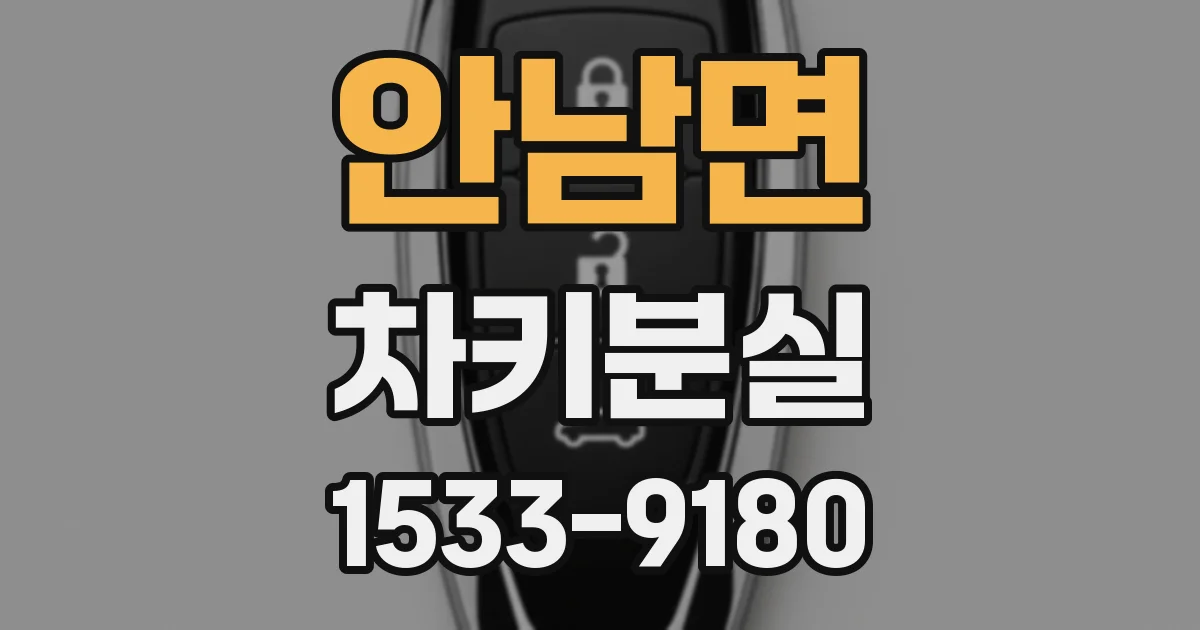 안남면 차키분실