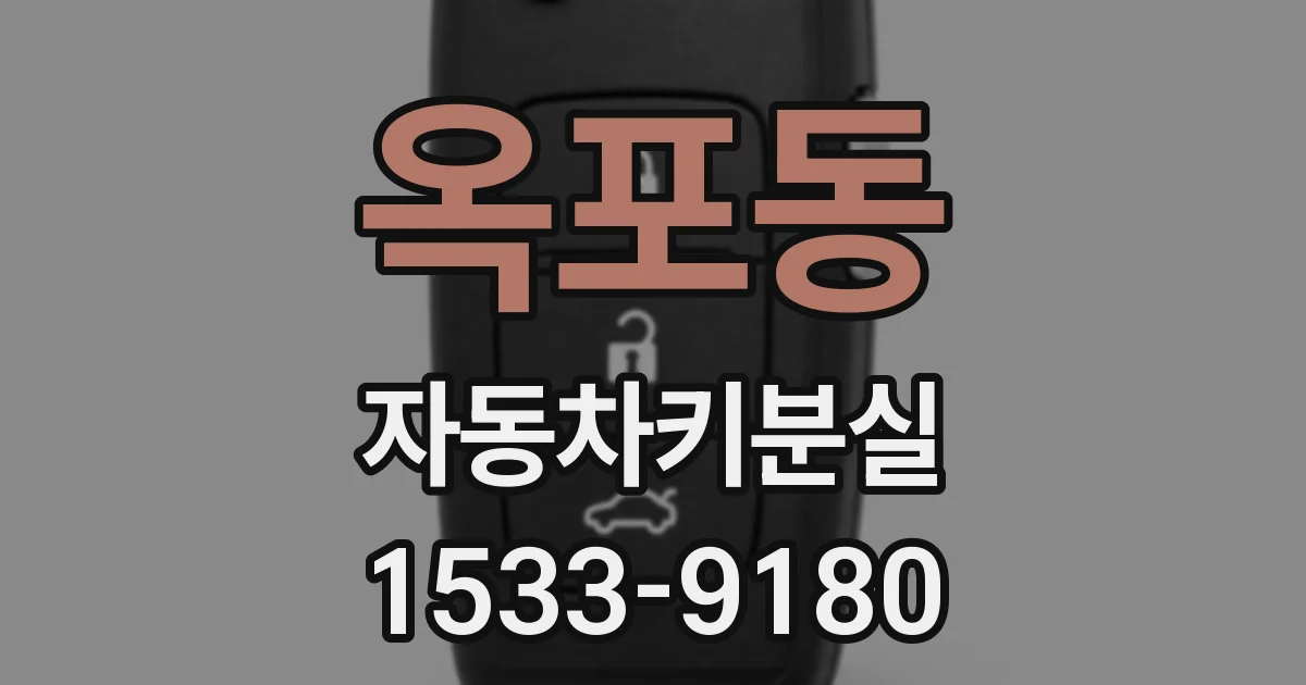 옥포동 자동차키분실