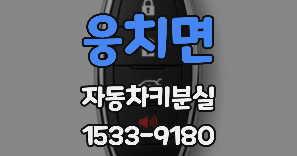 웅치면 자동차키분실