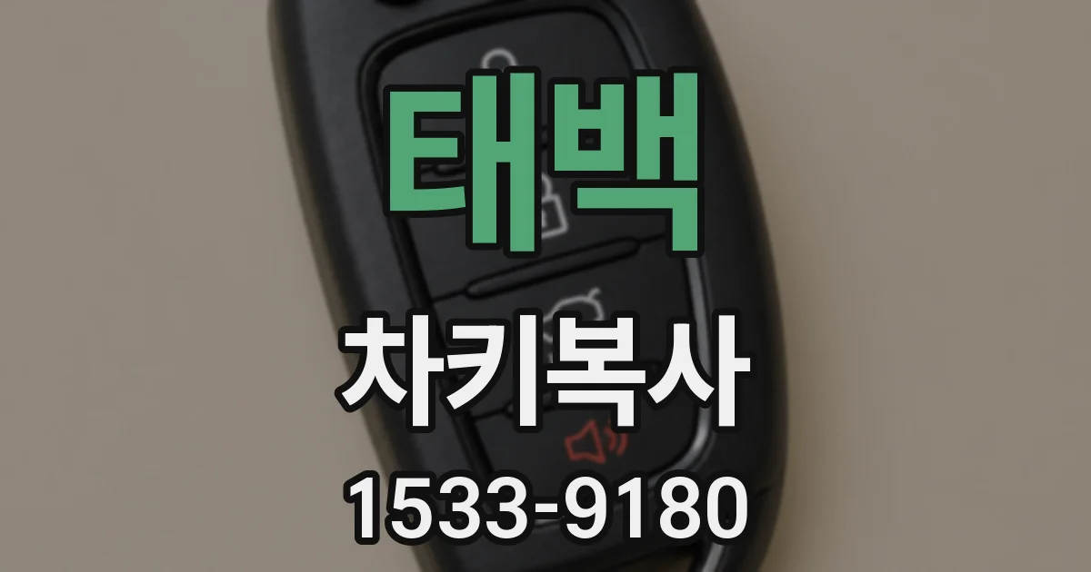 태백 차키복사